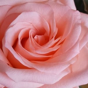 Bundle and save ❤❤❤❤❤